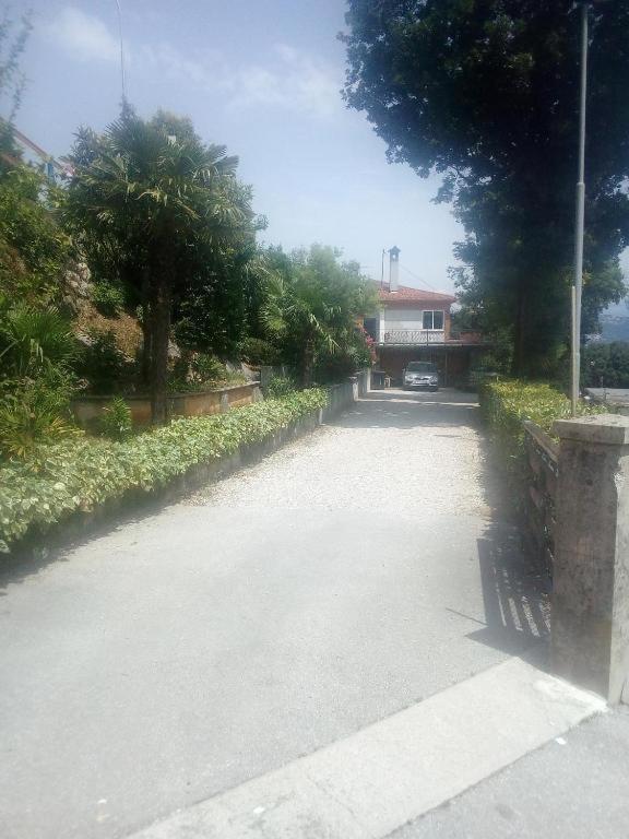 Envi Apartma *
