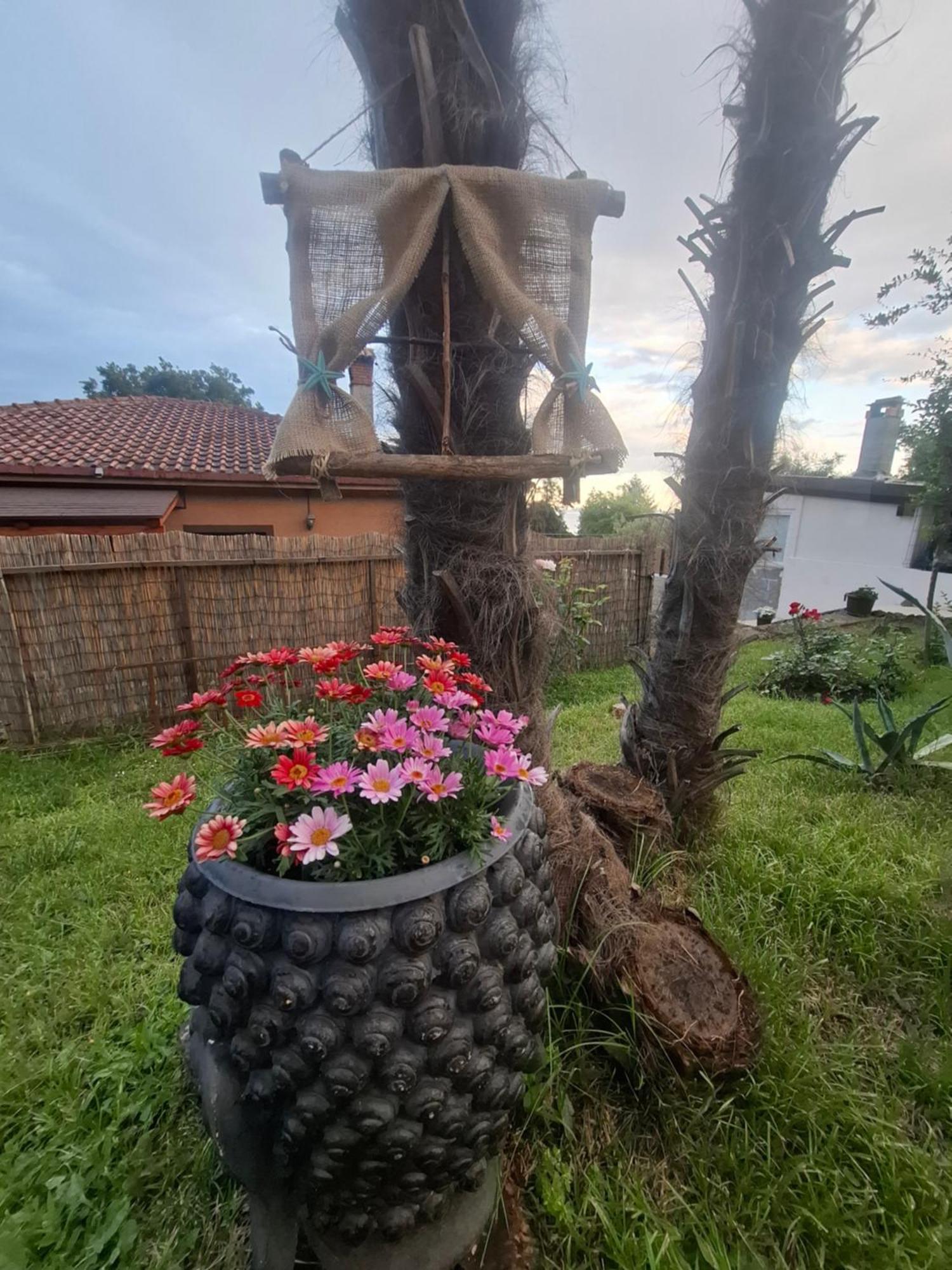 Apartma Envi Opatija