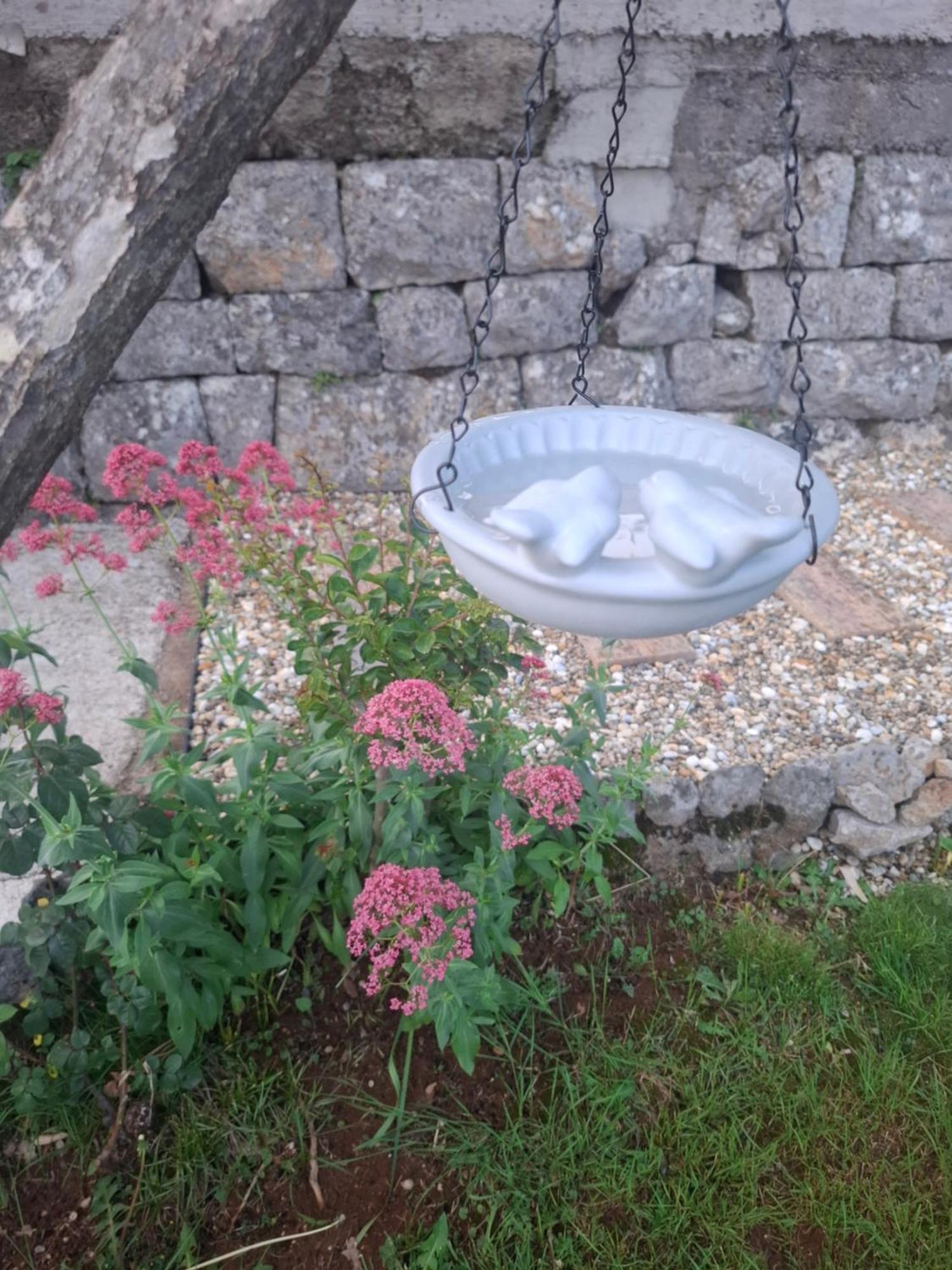 Apartma Envi